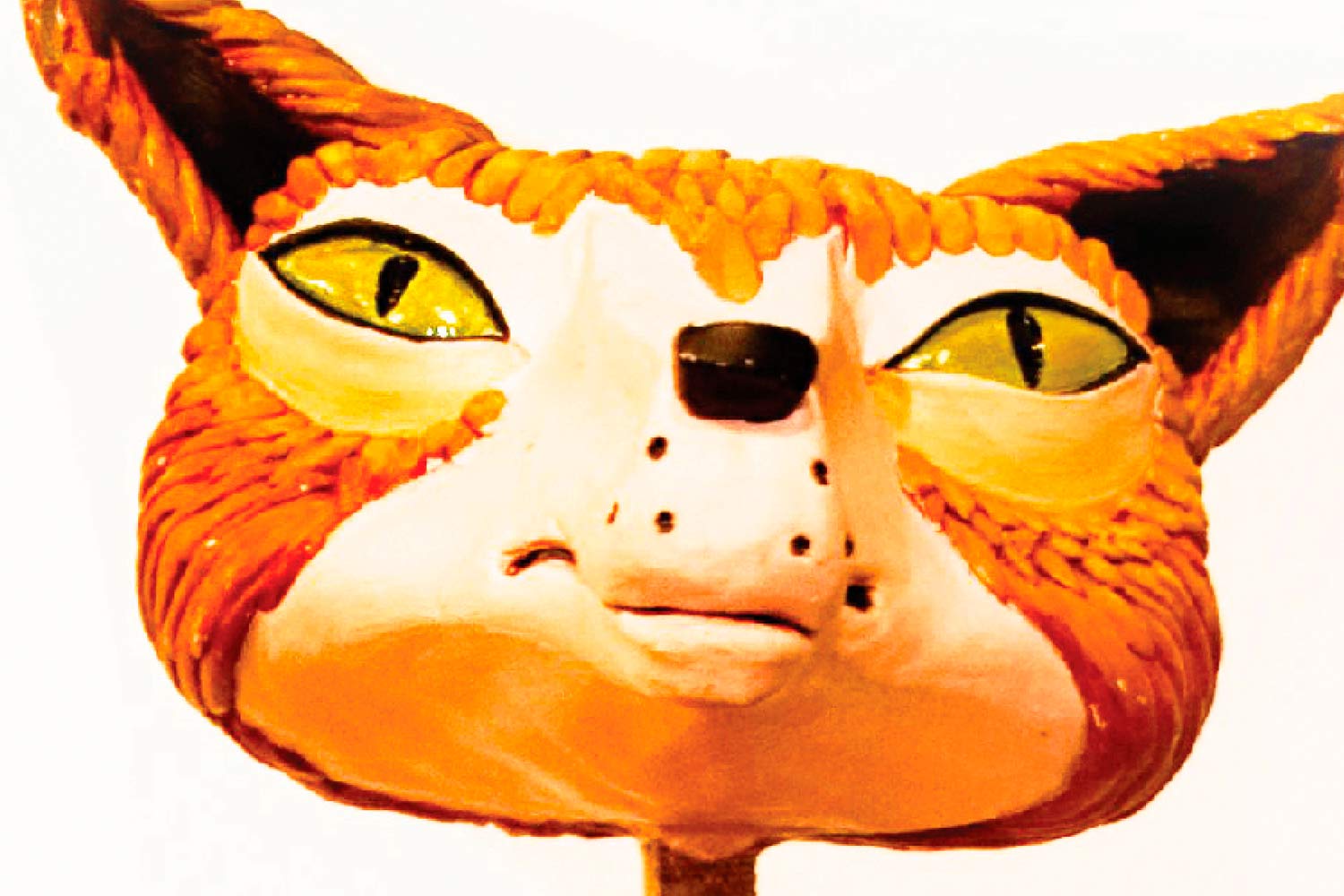  imagem de gato Museu das Marionetas do Porto 