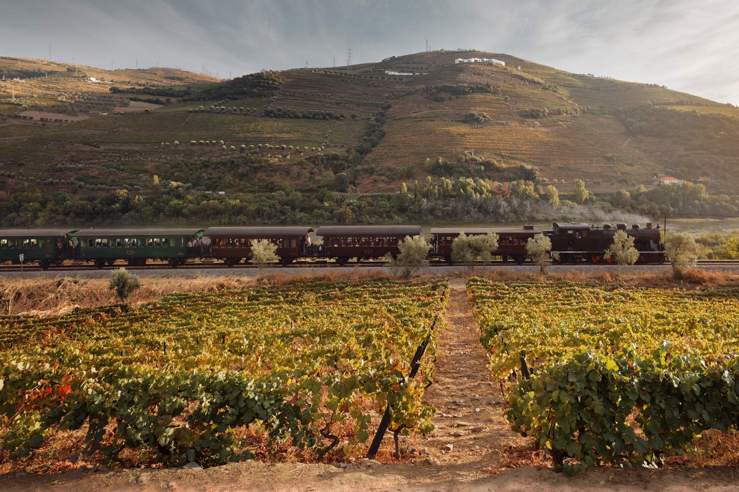 Comboio Histórico do Douro a circular entre vinhas.