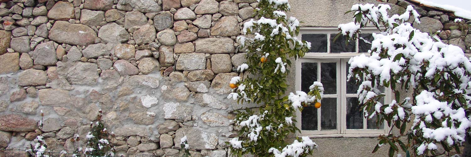 Wall of a rustic stone house, with a window and snow-covered trees.