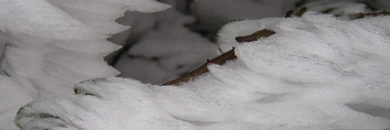 Image showing ice that may have formed after a wind-driven frost or freezing fog.