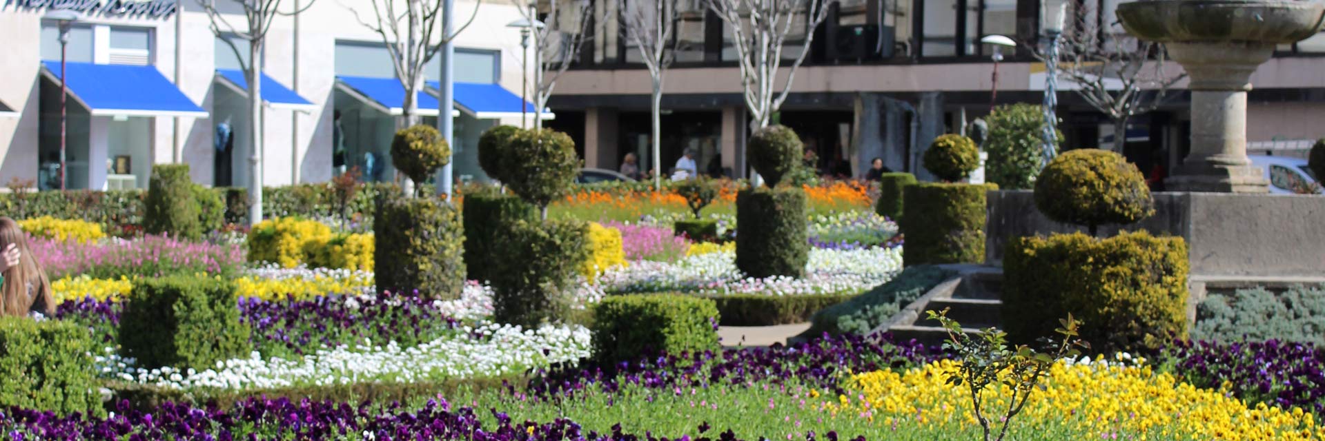 Santa Barbara's Garden with flowers and plants cut like sculptures.