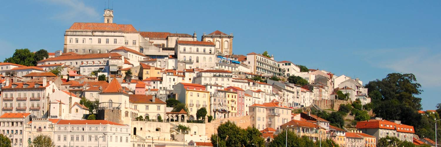 View of the upper city with the University in particular.