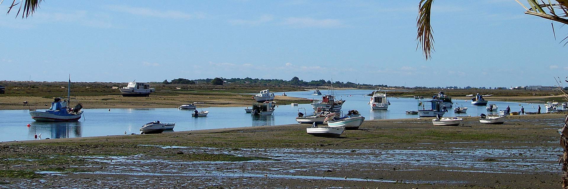 Paisagem serena num estuário costeiro, na Ria Formosa com maré baixa e barcos de pesca tradicionais, ancorados.