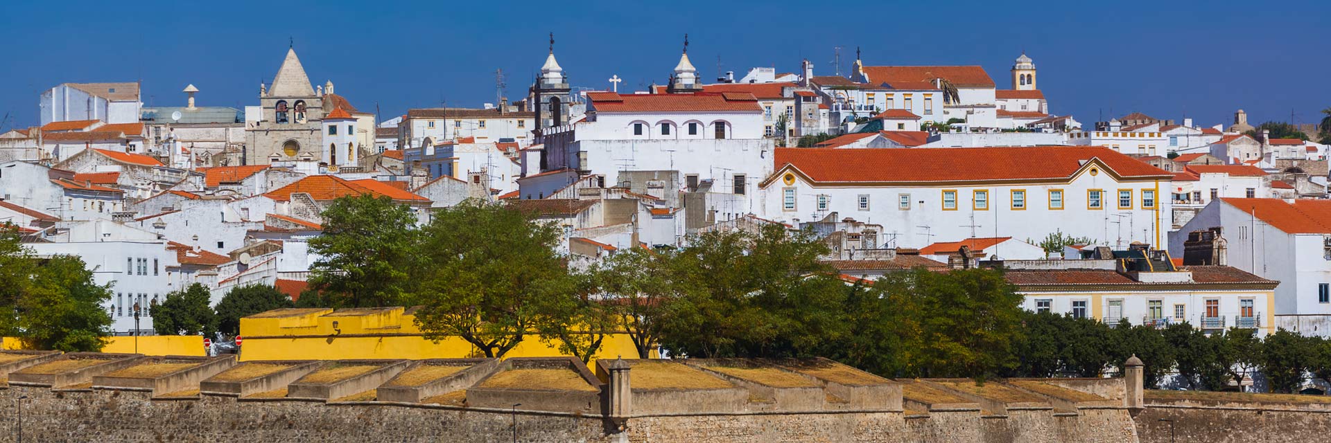 View of the city from one of the walls, highlighting the Cathedral tower.
