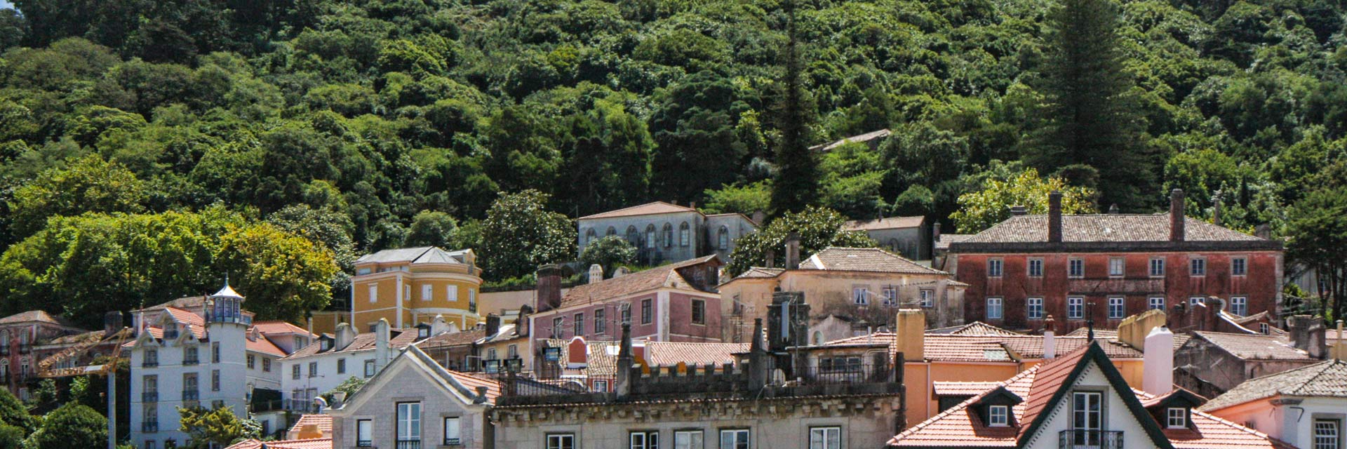Houses of Sintra next to the green area of ​​the park.
