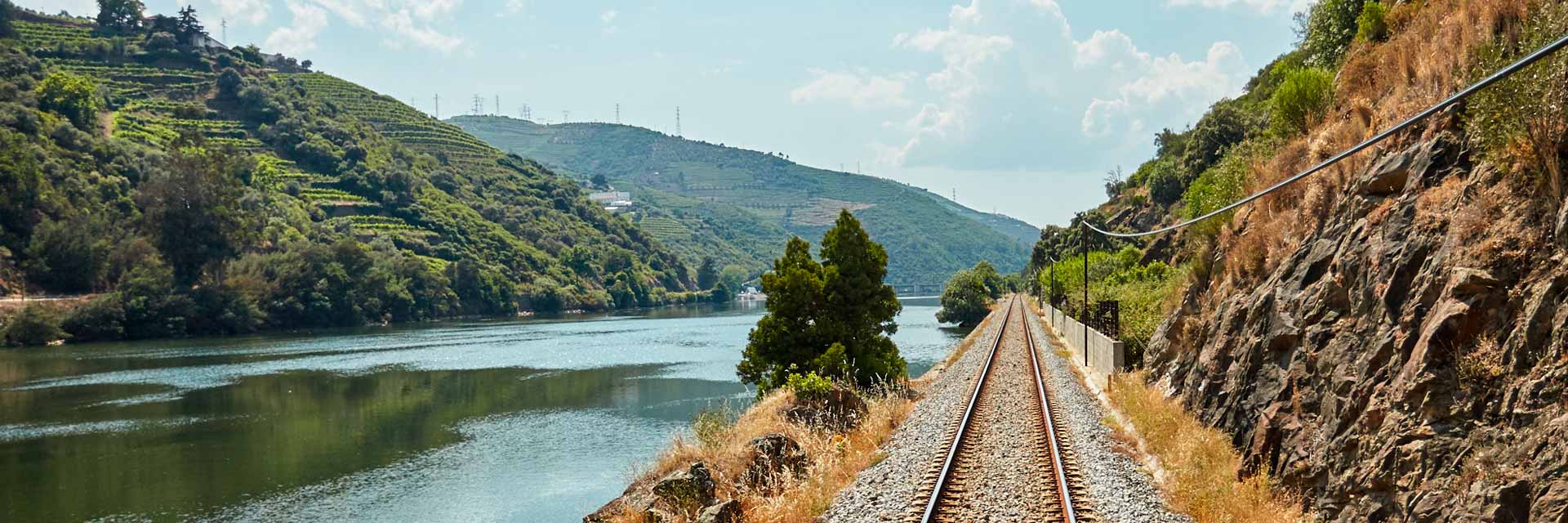 Douro River and the railway running alongside it.