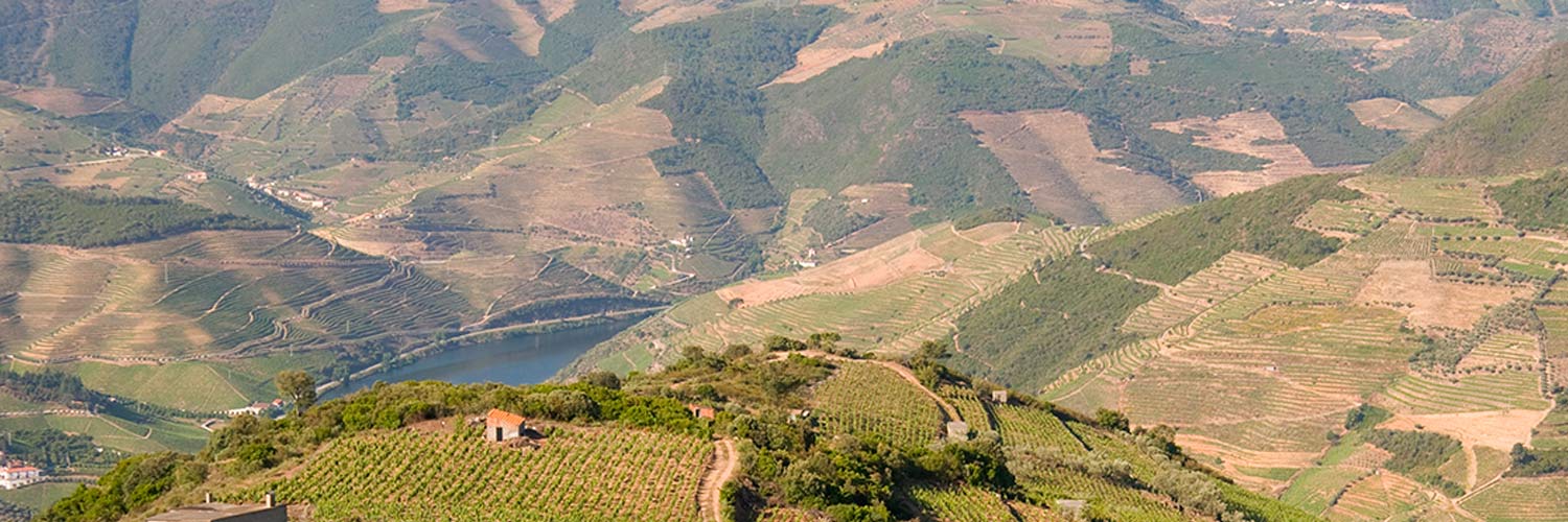 Landscape of the Douro Valley mountains and the river.