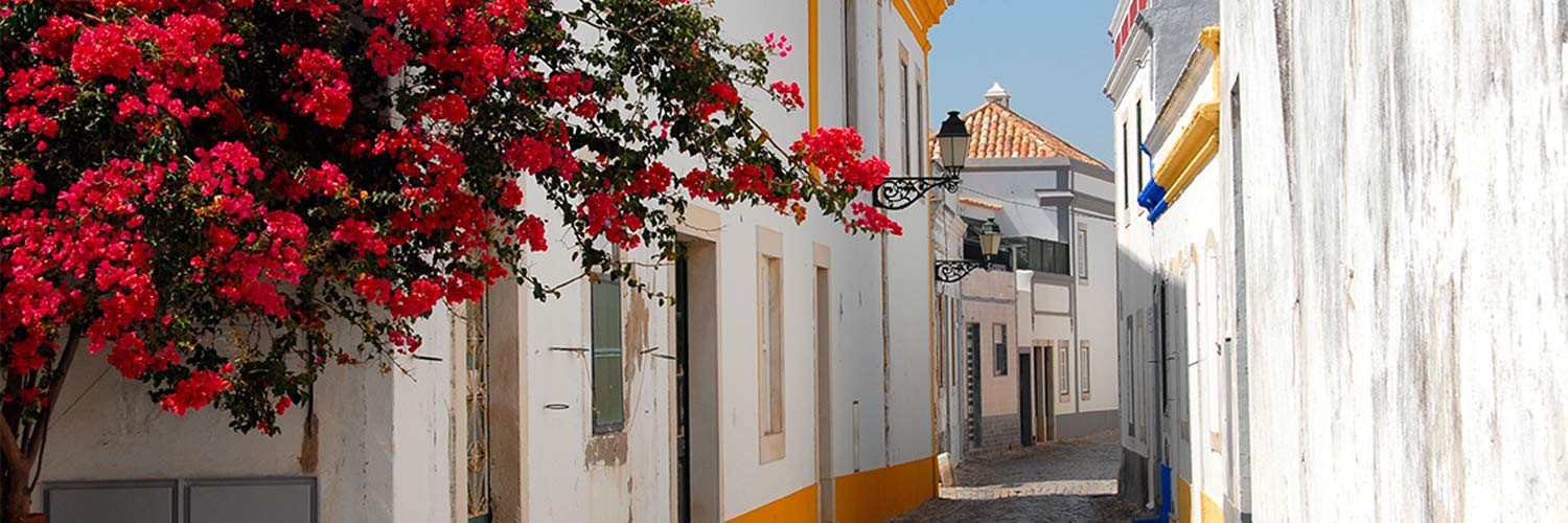 A narrow street lined with white houses and a bougainvillea plant with red flowers in the foreground
