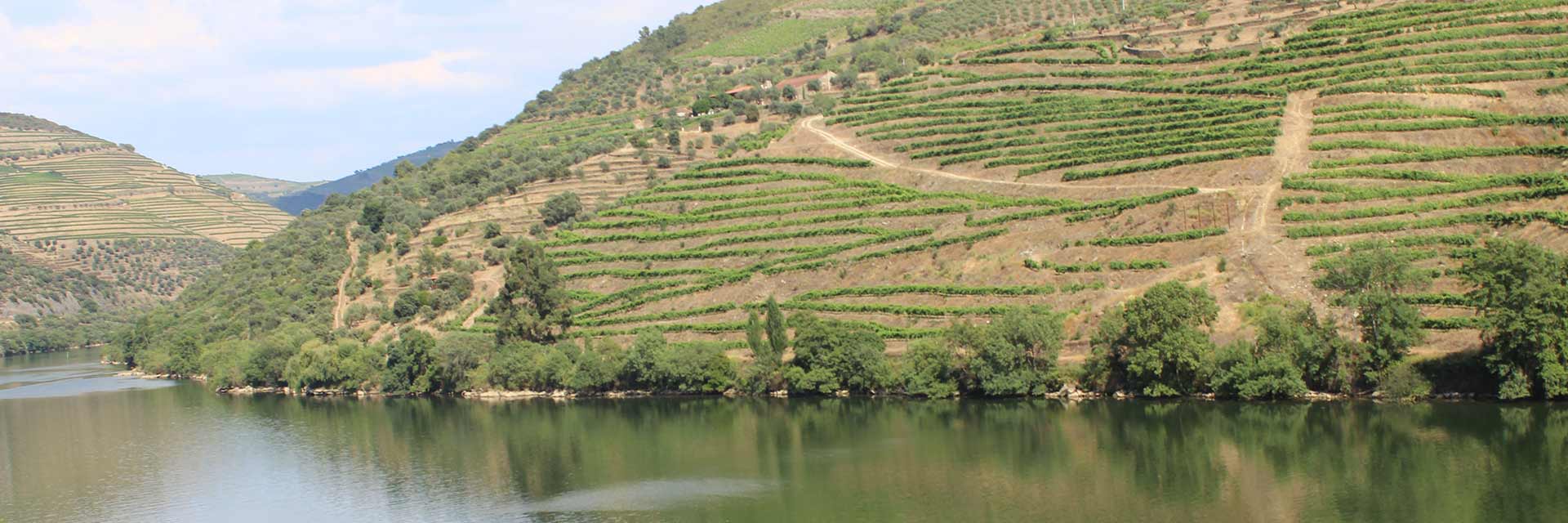 Landscape seen from the train window with the Douro River and terraces.
