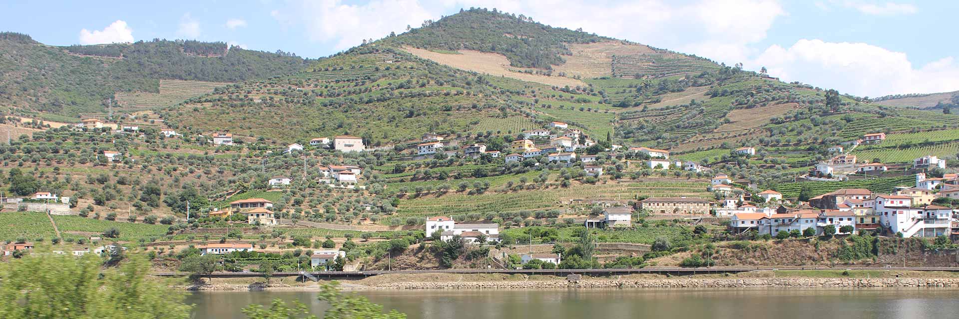 View from the train window of a town with several houses on the slopes, on the other bank.