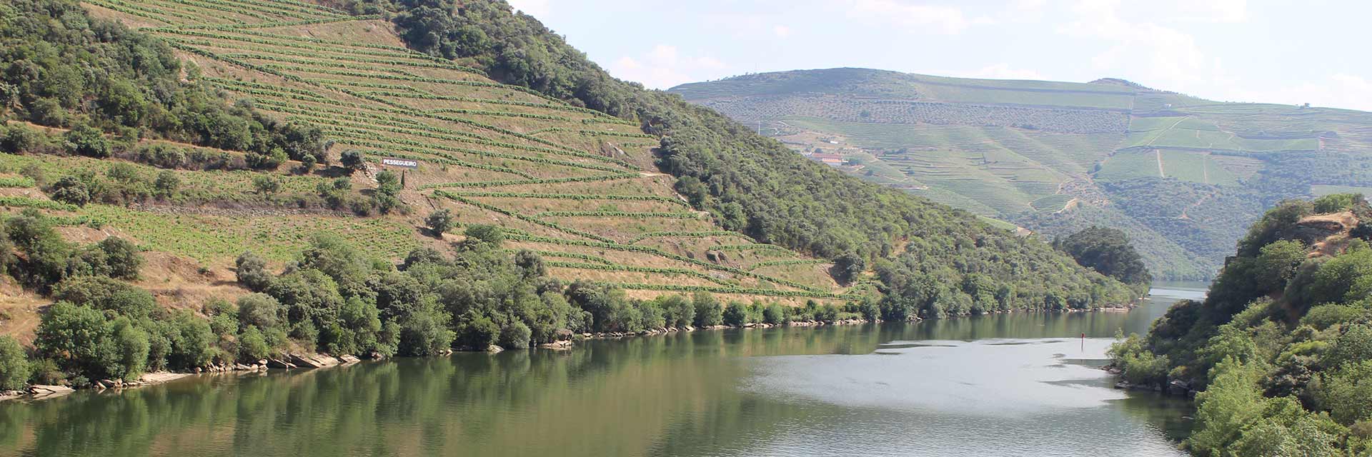 View of the river and two banks.