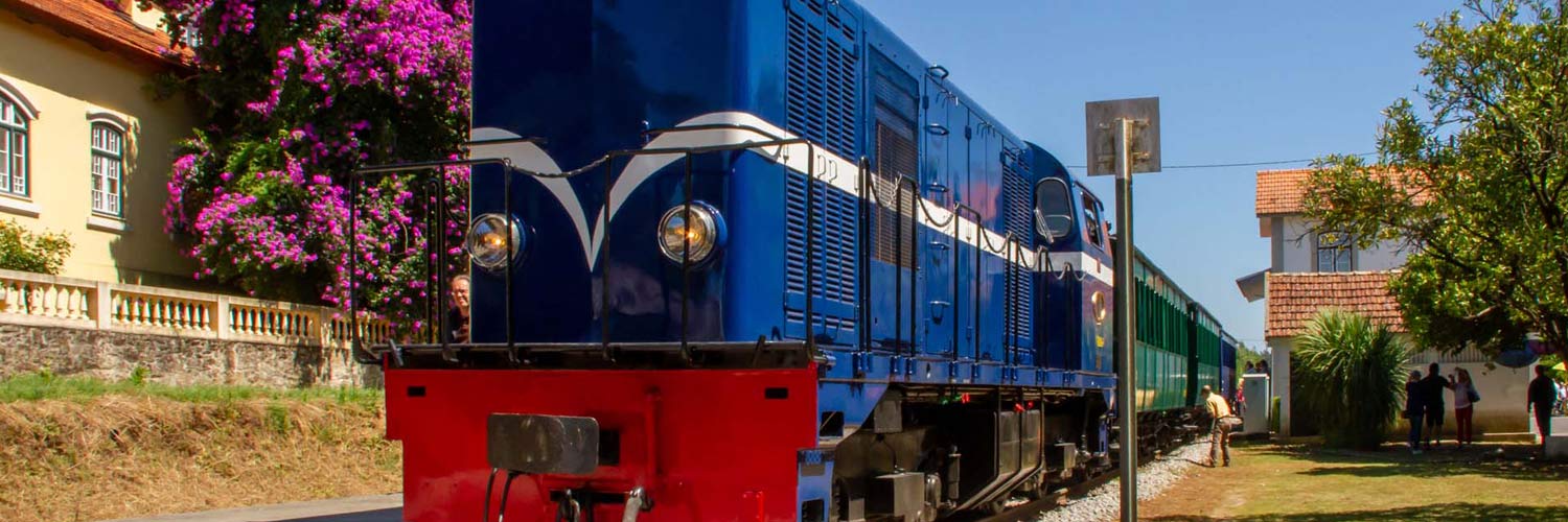 Vouga Historical Train, formed by CP 9004 diesel locomotive with blue and red livery, and five coaches with green, red and blue livery, stopped at the station.