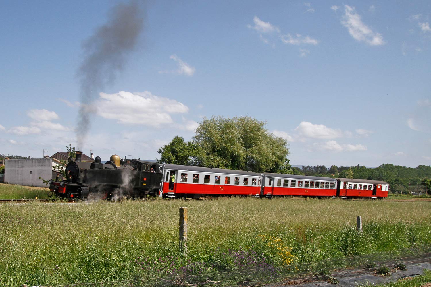 Comboio Histórico do Vouga, formado pela locomotiva a vapor CP E214 cor preta e por três carruagens Napolitanas de cor vermelho e branco, em viagem entre Águeda e Macinhata do Vouga, e a circular em zona de paisagem verde.