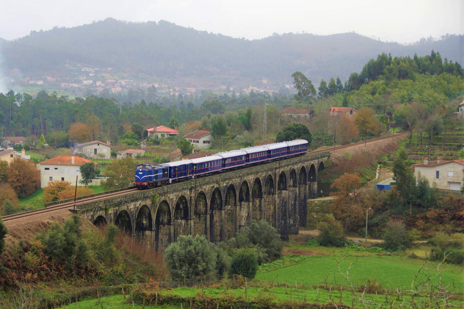 Comboio Presidencial, formado por locomotiva diesel da série CP 1400, cor azul, e seis carruagens, cor azul e branco, em viagem na Linha do Minho.