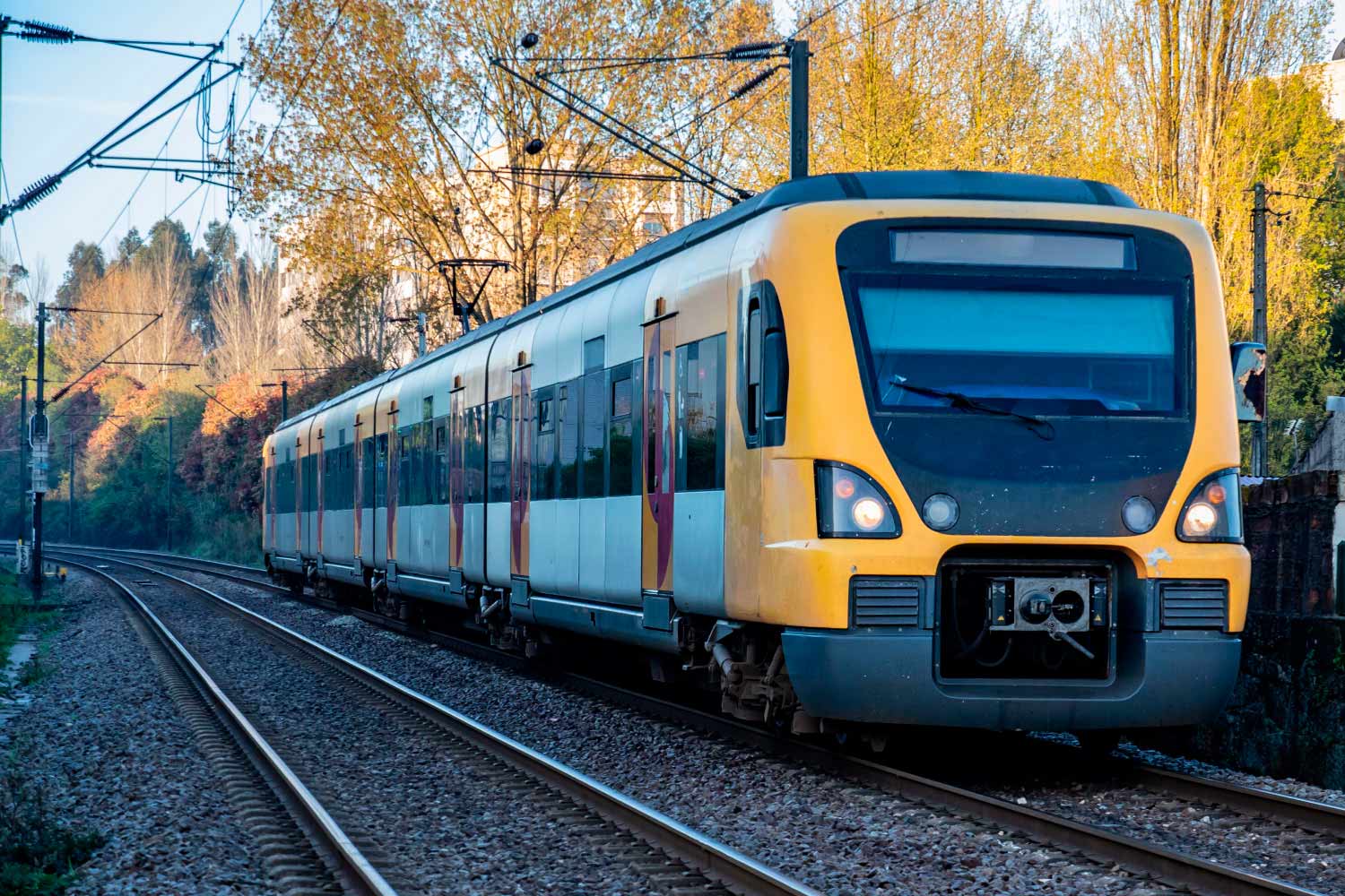 Comboio dos Urbanos do Porto na linha com fundo de árvores em tons de outono.