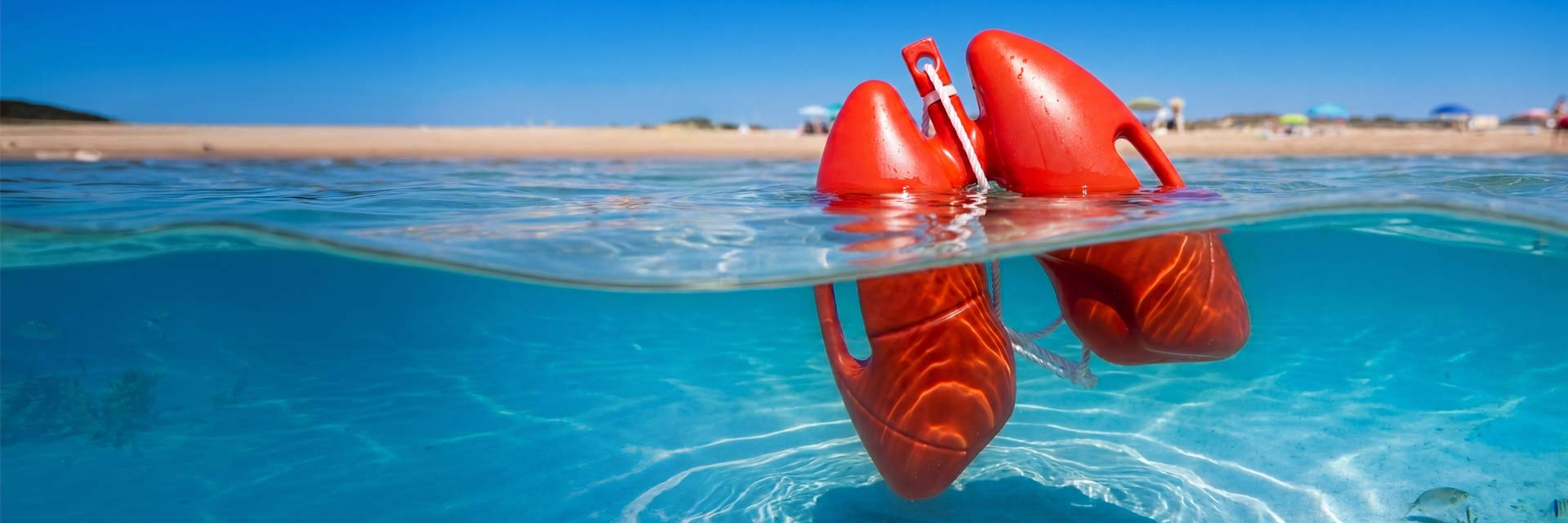 Image of a lung-shaped buoy floating on a beach.
